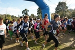 cir_046.jpg