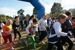 cir_048.jpg