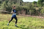 cir_054.jpg