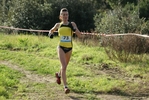 cir_067.jpg