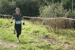 cir_080.jpg