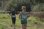 cir_083.jpg