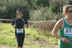 cir_084.jpg