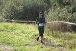 cir_090.jpg