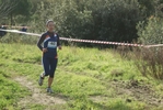 cir_095.jpg