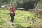 cir_099.jpg