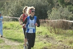 cir_104.jpg