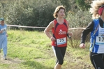 cir_105.jpg