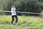cir_115.jpg