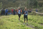 cir_122.jpg