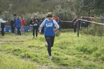 cir_126.jpg