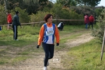 cir_131.jpg