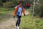 cir_132.jpg