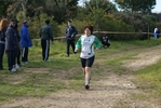 cir_133.jpg