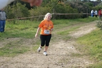 cir_135.jpg
