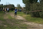 cir_136.jpg