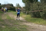 cir_137.jpg