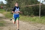 cir_146.jpg