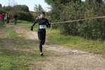 cir_152.jpg
