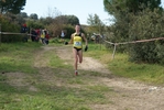 cir_156.jpg