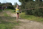 cir_157.jpg