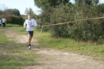 cir_160.jpg