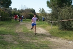 cir_163.jpg