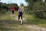 cir_169.jpg