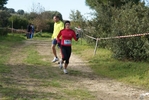 cir_171.jpg
