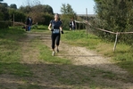 cir_174.jpg
