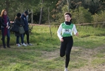 cir_187.jpg
