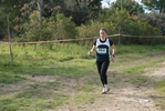 cir_190.jpg