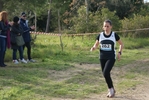 cir_191.jpg