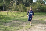 cir_195.jpg