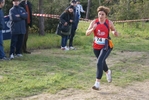 cir_202.jpg
