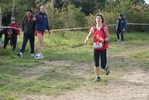 cir_204.jpg