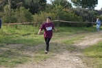 cir_209.jpg