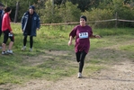 cir_210.jpg