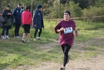 cir_211.jpg