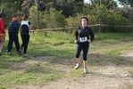cir_215.jpg