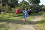 cir_217.jpg