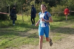 cir_219.jpg