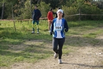 cir_225.jpg