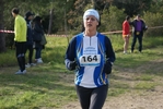 cir_226.jpg