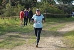 cir_228.jpg