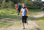 cir_238.jpg
