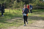 cir_241.jpg
