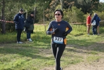 cir_242.jpg