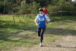 cir_245.jpg