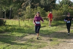 cir_247.jpg